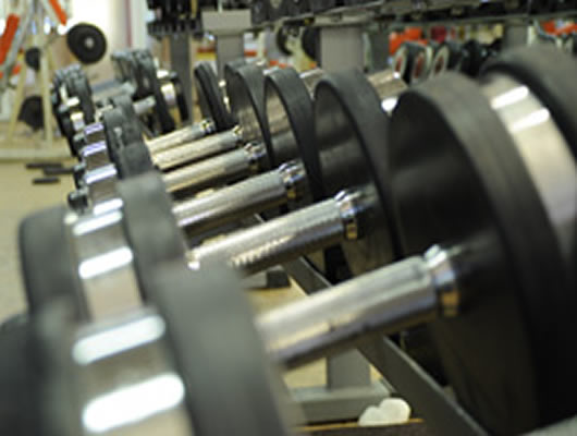 e-training fitnessclub | Muskelaufbau